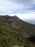 IMG_1638.JPG