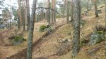 P9302041.jpg