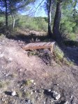 IMG_20121002_091041.jpg