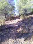 IMG_20121002_091053.jpg