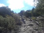 20120930_115521.jpg