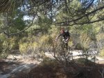 20120930_130540.jpg