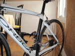 IMG_0795.gif