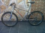 mongoose DX.jpg
