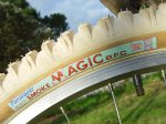 panaracer_smoke_magic_rear2_193.jpg