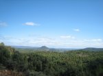 IMG_7014.jpg