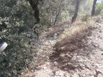 2012-10-02 16.15.45.jpg