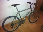 bici.JPG