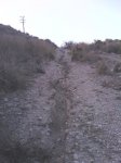 Bajo del rio1.jpg