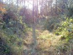 DSC00062.jpg