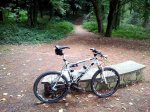 2012-10-007.jpg