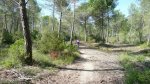 P1080443 - copia.JPG