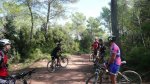 P1080448 - copia.JPG