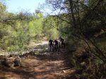 CIMG2719 (Copiar).JPG