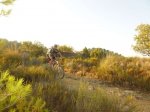 P1050749_800x600.jpg