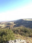 IMG_3067.jpg