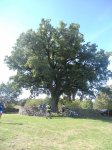 DSCN1034.JPG