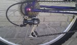 IMAG0202.jpg