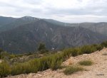 1-DSCF0567.JPG