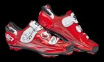 140_pop_mtbdragon3srsvernice-redred.jpg
