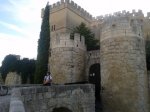 ampudia (4).jpg
