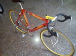 DSC00438.jpg