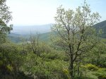 dsc03486__medium_.jpg