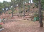 PICT0002 (Small).JPG
