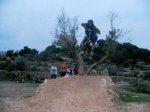img3083fx8.jpeg