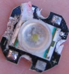 tr801.JPG