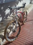 DSC00414.jpg