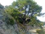IMG-20121007-WA0032.jpg