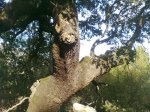 IMG-20121007-WA0033.jpg