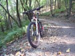 trek3.jpg