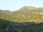 P1050874_800x600.jpg