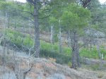 P1050882_800x600.jpg