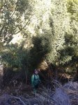 2012-10-09 10.41.34.jpg