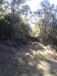 2012-10-09 10.53.24.jpg