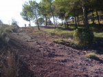 CIMG2777 (Copiar).JPG