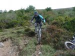 P1130913 (Copiar).JPG
