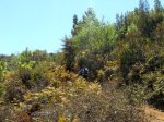 DSCN3791.jpg
