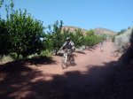 CIMG2803 (Copiar).JPG