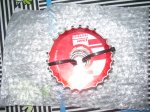 IMGP9968.JPG