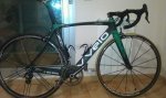 vivelo piedra 2.jpg