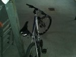 IMG017.jpg