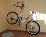 Peso Giant 3.jpg