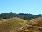 DSCN3795.jpg