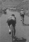merckx 71 descolgado tour 75.jpg