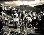 alpemarco.jpg