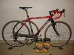 DSC09475 - copia.JPG